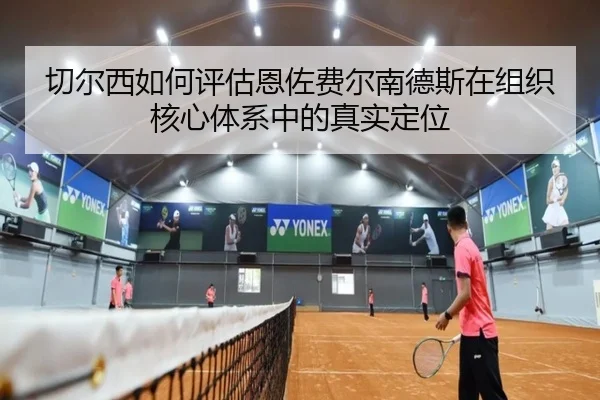 切尔西如何评估恩佐费尔南德斯在组织核心体系中的真实定位（kaiyun）